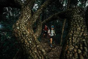 BIB: 
                            <button type="button" onclick="openModal(25699174)" class="btn btn-primary btn-sm float-right btn-popup" data-toggle="modal" data-target=".modal-high-quality">
                        <i class="fas fa-shopping-cart"></i> Add to Cart
                    </button>
                                            <button type="button" onclick="isThisMe(25699174, true)" class="btn btn-success btn-sm float-right btn-popup btn-isme hidden" data-toggle="tooltip" data-placement="bottom" title="นี่คือรูปของคุณใช่ไหม คลิกที่นี่เพื่อเอาเข้าอัลบั้ม">
                        <i class="fas fa-plus"></i> Add to album
                    </button>
                    <button type="button" onclick="isThisMe(25699174, false)" class="btn btn-warning btn-sm float-right btn-popup btn-isnotme hidden">
                        <i class="fas fa-ban"></i> Remove from album
                    </button>